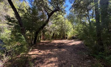 Parcela 9.700M2 con cabaña orilla de río km 62 camino Termas de Chillán