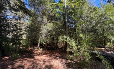 Parcela 9.700M2 con cabaña orilla de río km 62 camino Termas de Chillán