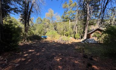 Parcela 9.700M2 con cabaña orilla de río km 62 camino Termas de Chillán