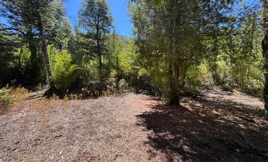 Parcela 9.700M2 con cabaña orilla de río km 62 camino Termas de Chillán