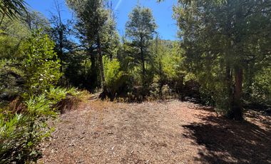 Parcela 9.700M2 con cabaña orilla de río km 62 camino Termas de Chillán