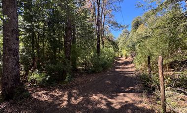 Parcela 9.700M2 con cabaña orilla de río km 62 camino Termas de Chillán