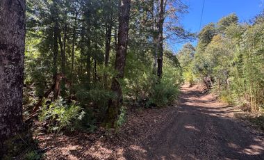 Parcela 9.700M2 con cabaña orilla de río km 62 camino Termas de Chillán