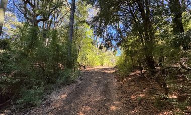 Parcela 9.700M2 con cabaña orilla de río km 62 camino Termas de Chillán