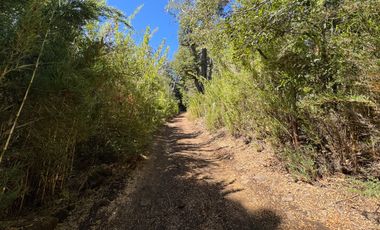 Parcela 9.700M2 con cabaña orilla de río km 62 camino Termas de Chillán