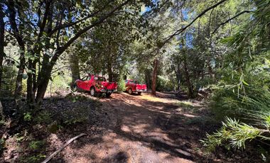 Parcela 9.700M2 con cabaña orilla de río km 62 camino Termas de Chillán