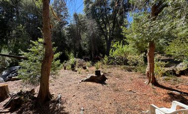 Parcela 9.700M2 con cabaña orilla de río km 62 camino Termas de Chillán