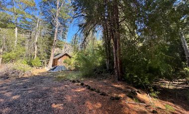 Parcela 9.700M2 con cabaña orilla de río km 62 camino Termas de Chillán