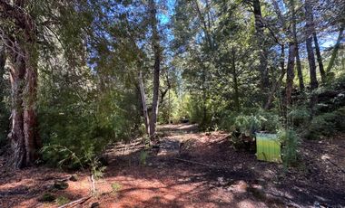Parcela 9.700M2 con cabaña orilla de río km 62 camino Termas de Chillán
