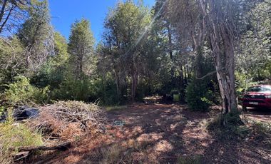 Parcela 9.700M2 con cabaña orilla de río km 62 camino Termas de Chillán