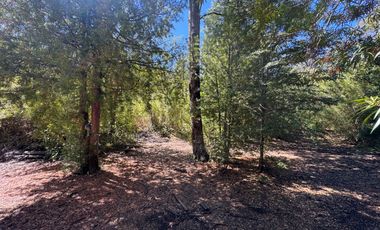 Parcela 9.700M2 con cabaña orilla de río km 62 camino Termas de Chillán
