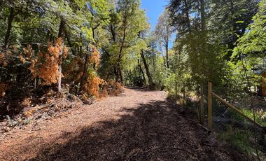 Parcela 5000M2 en valle Las Trancas, termas de Chillán