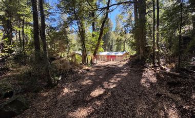 Parcela 5000M2 en valle Las Trancas, termas de Chillán