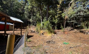 Parcela 5000M2 en valle Las Trancas, termas de Chillán