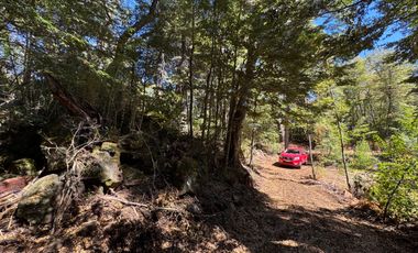 Parcela 5000M2 en valle Las Trancas, termas de Chillán