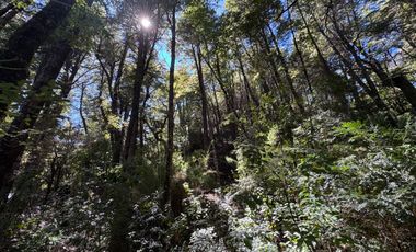 Parcela 5000M2 en valle Las Trancas, termas de Chillán