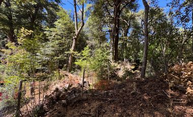 Parcela 5000M2 en valle Las Trancas, termas de Chillán