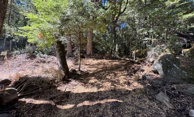 Parcela 5000M2 en valle Las Trancas, termas de Chillán