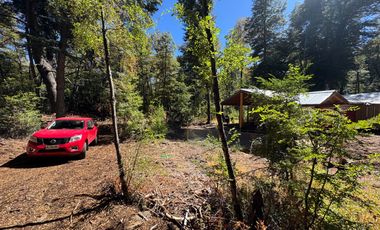 Parcela 5000M2 en valle Las Trancas, termas de Chillán