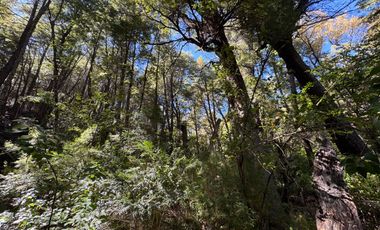 Parcela 5000M2 en valle Las Trancas, termas de Chillán