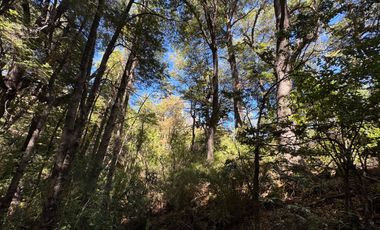 Parcela 5000M2 en valle Las Trancas, termas de Chillán
