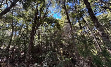 Parcela 5000M2 en valle Las Trancas, termas de Chillán