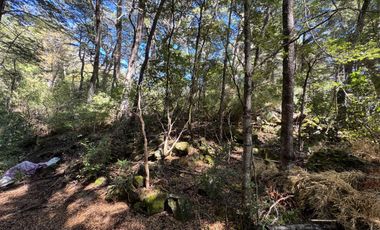 Parcela 5000M2 en valle Las Trancas, termas de Chillán