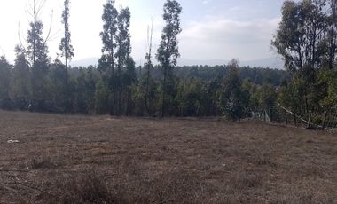 INCREIBLE OPORTUNIDAD DE INVERSION EN PUCHUNCAVI