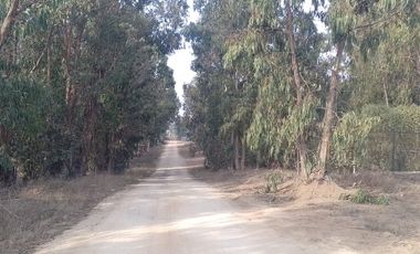 INCREIBLE OPORTUNIDAD DE INVERSION EN PUCHUNCAVI