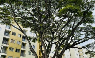 VENDO APARTAMENTO EN PANGOLA JAMUNDI