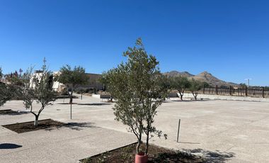 TERRENOS CAMPESTRES TIERRA TINTA RESIDENCIAL