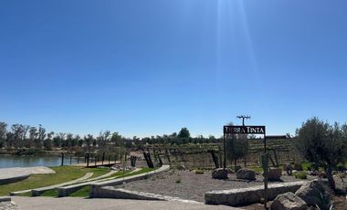 TERRENOS CAMPESTRES TIERRA TINTA RESIDENCIAL