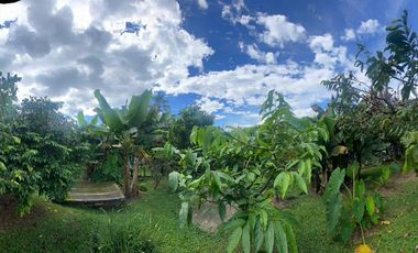 VENDO FINCA CAMPESTRE EN ARMENIA ÁREA 2.208M2
