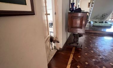 AMPLIA CASA EN EL LIMITE DE LINCE Y SAN ISIDRO EN VENTA