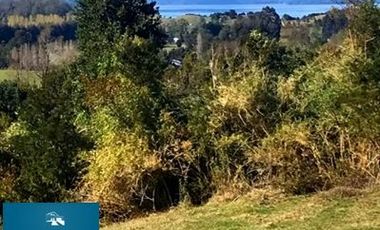 En venta hermoso loteo de 40.000 M² en sector Altos de Mantilhue.