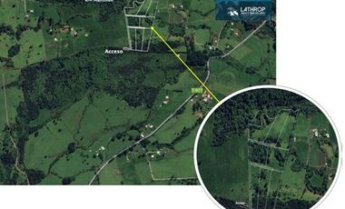 En venta hermoso loteo de 40.000 M² en sector Altos de Mantilhue.
