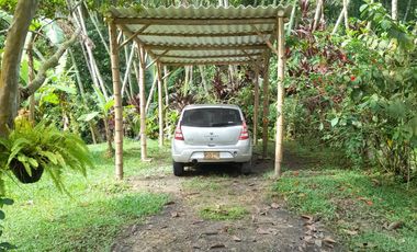 Vendo Finca en la Vega Tiene 2 casas