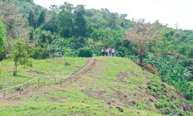 TITLED RESIDENTIAL FARM LOT IN PILILIA RIZAL