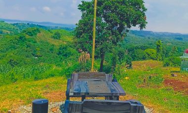 TITLED RESIDENTIAL FARM LOT IN PILILIA RIZAL