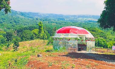 TITLED RESIDENTIAL FARM LOT IN PILILIA RIZAL