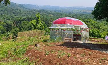 TITLED RESIDENTIAL FARM LOT IN PILILIA RIZAL