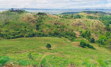 TITLED RESIDENTIAL FARM LOT IN PILILIA RIZAL