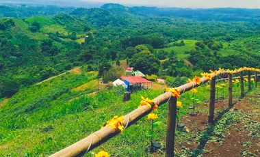 TITLED RESIDENTIAL FARM LOT IN PILILIA RIZAL