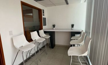 OFICINA AMUEBLADA TOTALMENTE EQUIPADA CON ÁREAS COMUNES Y AMENIDADES LISTA PARA EMPEZAR A TRABAJAR