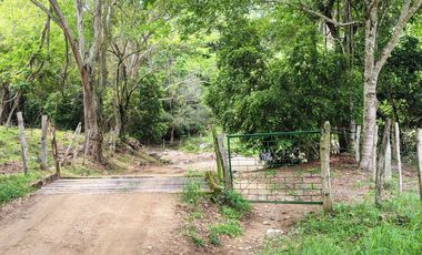 🌿 ¡OPORTUNIDAD ÚNICA! FINCA GANADERA EN VENTA – PIEDRAS, TOLIMA 🏡🐄