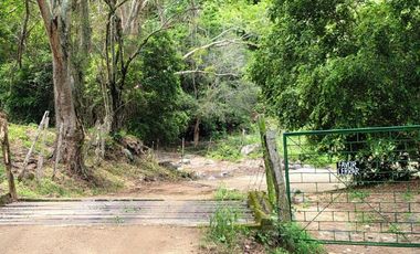🌿 ¡OPORTUNIDAD ÚNICA! FINCA GANADERA EN VENTA – PIEDRAS, TOLIMA 🏡🐄