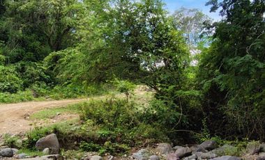 🌿 ¡OPORTUNIDAD ÚNICA! FINCA GANADERA EN VENTA – PIEDRAS, TOLIMA 🏡🐄