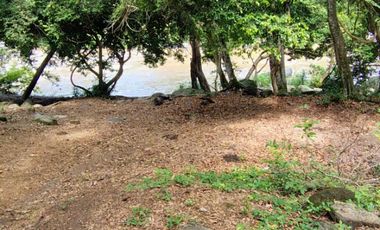 🌿 ¡OPORTUNIDAD ÚNICA! FINCA GANADERA EN VENTA – PIEDRAS, TOLIMA 🏡🐄