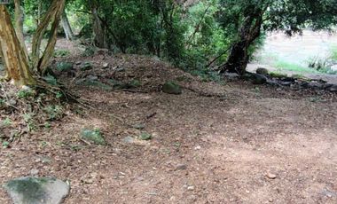 🌿 ¡OPORTUNIDAD ÚNICA! FINCA GANADERA EN VENTA – PIEDRAS, TOLIMA 🏡🐄