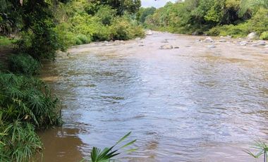 🌿 ¡OPORTUNIDAD ÚNICA! FINCA GANADERA EN VENTA – PIEDRAS, TOLIMA 🏡🐄